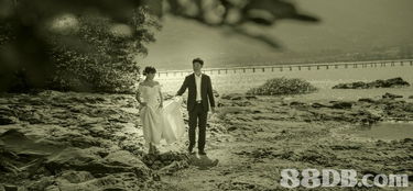 定格永恒瞬間 婚紗攝影與婚禮影像服務的全方位指南